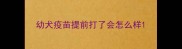 幼犬疫苗提前打了会怎么样