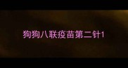 狗狗八联疫苗第二针