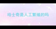 哈士奇是人工繁殖的吗