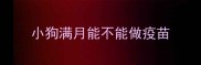 小狗满月能不能做疫苗