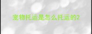 宠物托运是怎么托运的