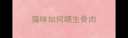 猫咪如何喂生骨肉