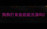 狗狗打育苗前能洗澡吗