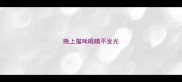 晚上猫咪眼睛不发光