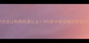 5个科学方法让狗狗快速认主90新手都忽略的忠诚训练指南