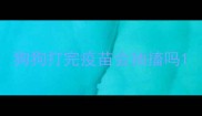 狗狗打完疫苗会抽搐吗
