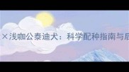 咖啡色母泰迪犬浅咖公泰迪犬科学配种指南与后代毛色遗传全