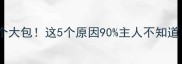 狗狗胸口突然长个大包这5个原因90主人不知道速看避坑指南