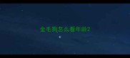 金毛狗怎么看年龄