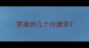 罗威纳几个月磨牙