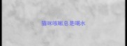 猫咪咳嗽总是喝水