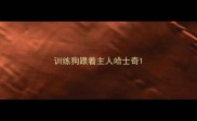 训练狗跟着主人哈士奇