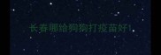长春哪给狗狗打疫苗好