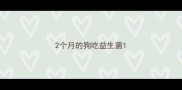 2个月的狗吃益生菌
