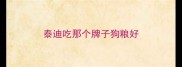 泰迪吃那个牌子狗粮好