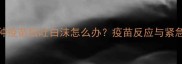 狗狗接种疫苗后吐白沫怎么办疫苗反应与紧急处理全