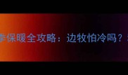边境牧羊犬冬季保暖全攻略边牧怕冷吗科学养护指南