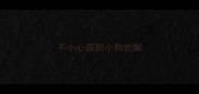 不小心踩到小狗的脚