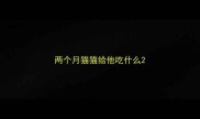 两个月猫猫给他吃什么