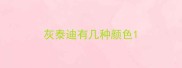 灰泰迪有几种颜色