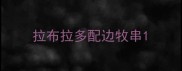 拉布拉多配边牧串