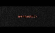 猫咪耳朵被烫红了