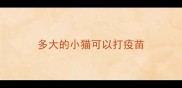 多大的小猫可以打疫苗