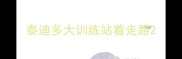 泰迪多大训练站着走路