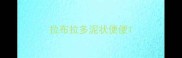拉布拉多泥状便便