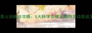 幼犬亲人训练全攻略5大科学步骤让狗狗主动亲近主人