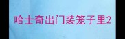哈士奇出门装笼子里