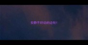 安静不好动的边牧