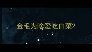 金毛为啥爱吃白菜