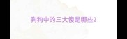 狗狗中的三大傻是哪些