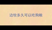 边牧多久可以吃狗粮