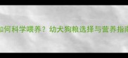 4个月大哈士奇如何科学喂养幼犬狗粮选择与营养指南附避坑清单
