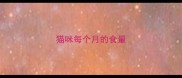 猫咪每个月的食量