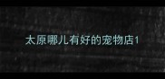 太原哪儿有好的宠物店