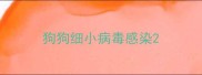 狗狗细小病毒感染
