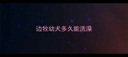 边牧幼犬多久能洗澡