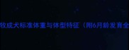 边牧成犬标准体重与体型特征附6月龄发育全