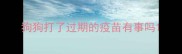 狗狗打了过期的疫苗有事吗