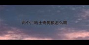 两个月哈士奇狗粮怎么喂