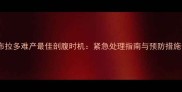 拉布拉多难产最佳剖腹时机紧急处理指南与预防措施全