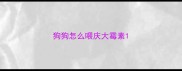 狗狗怎么喂庆大霉素