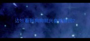 边牧看到狗狗就兴奋啥原因