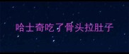 哈士奇吃了骨头拉肚子