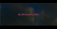哈士奇可以吃什么钙片
