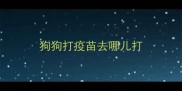 狗狗打疫苗去哪儿打
