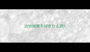 边牧肠胃不好吃什么药